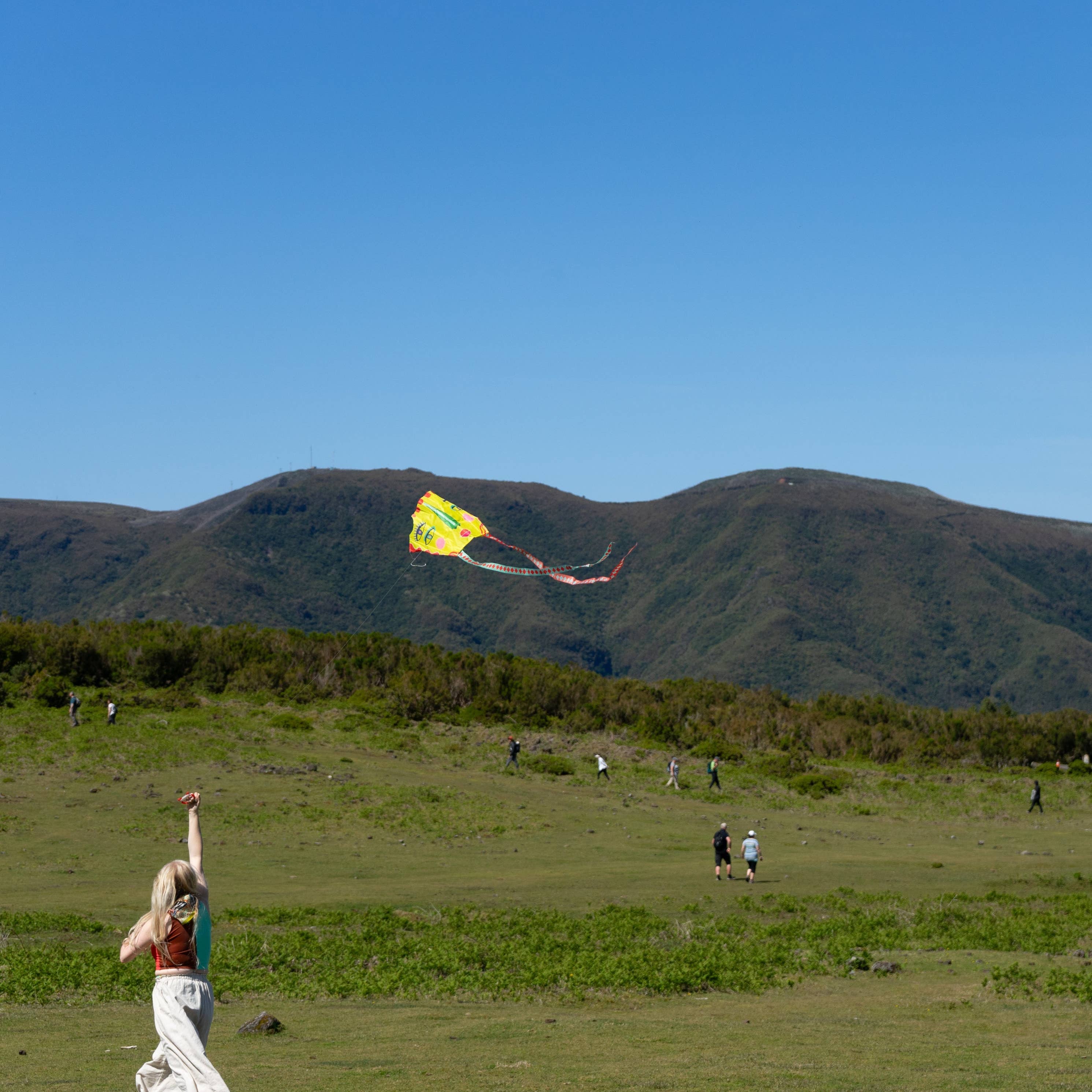 POCKET KITE / SKY SEER