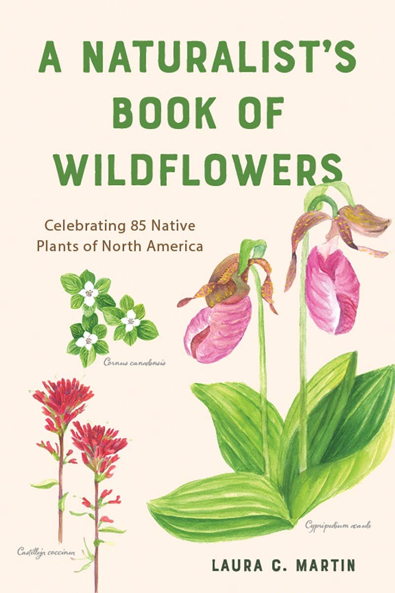 A Naturalist&