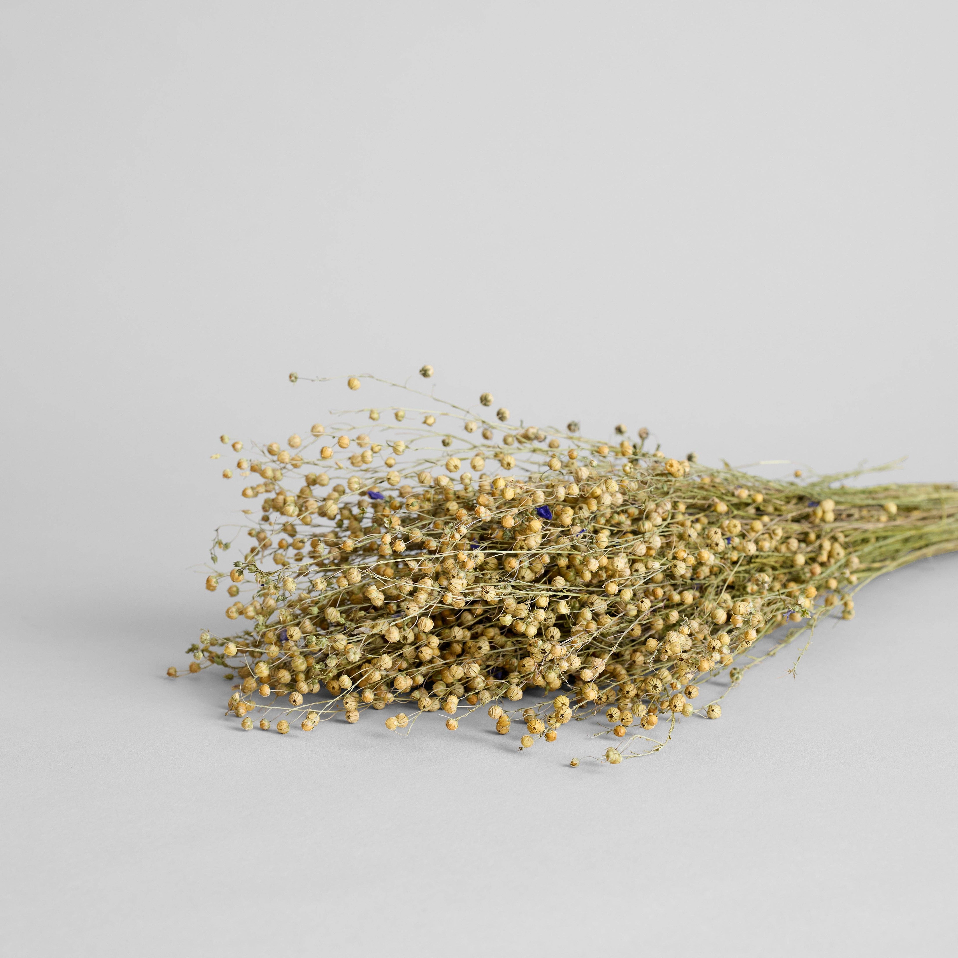 Dried Flax