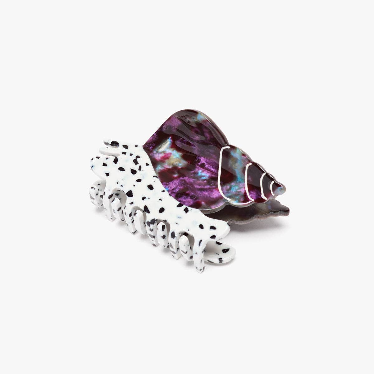 Spotted Whelk Sea Snail Hair Claw