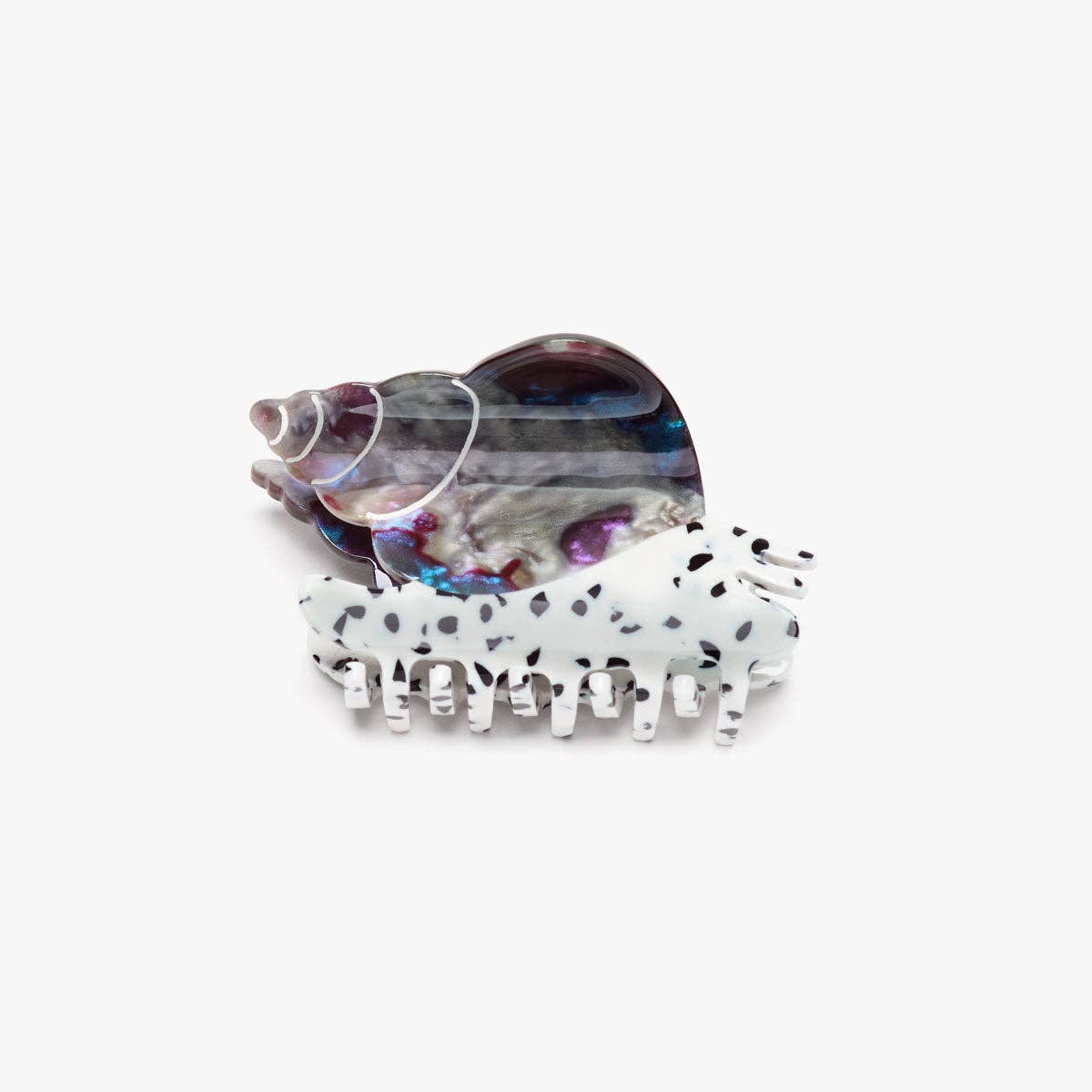Spotted Whelk Sea Snail Hair Claw