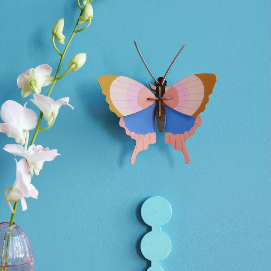 Gold Rim Butterfly