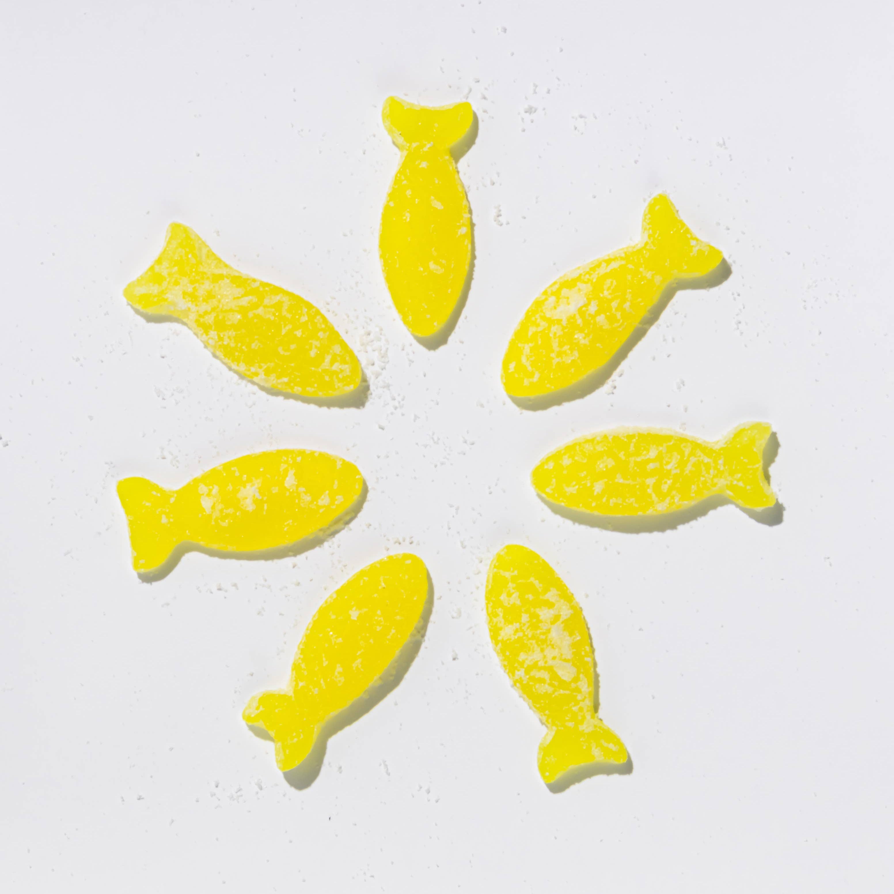 Sour Elderflower Fish