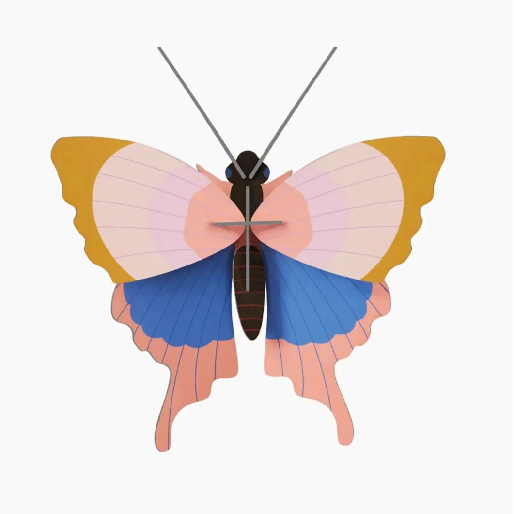 Gold Rim Butterfly