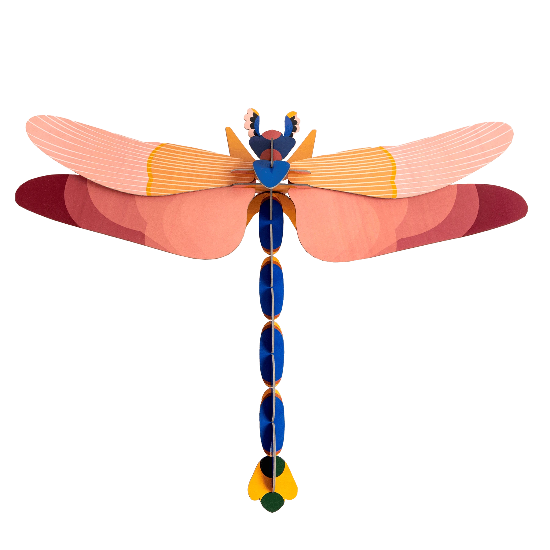 Pink Dragonfly