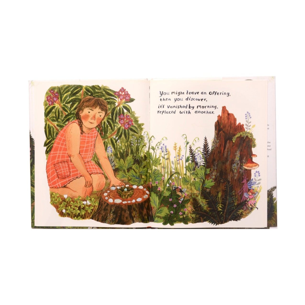 Backyard Fairies