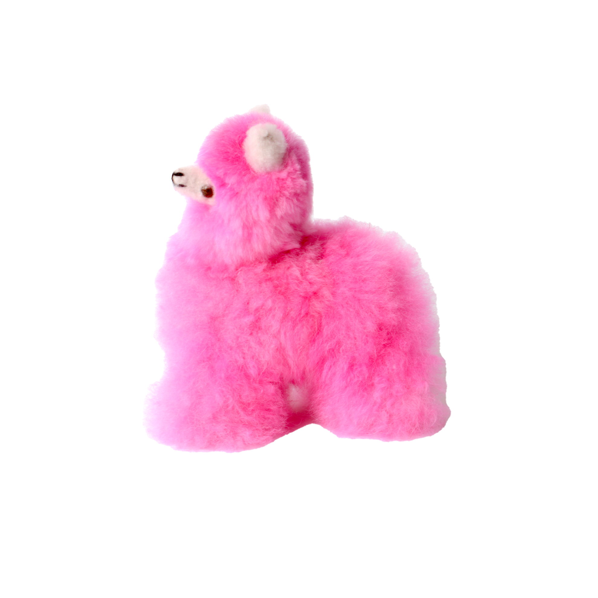 Small Llama
