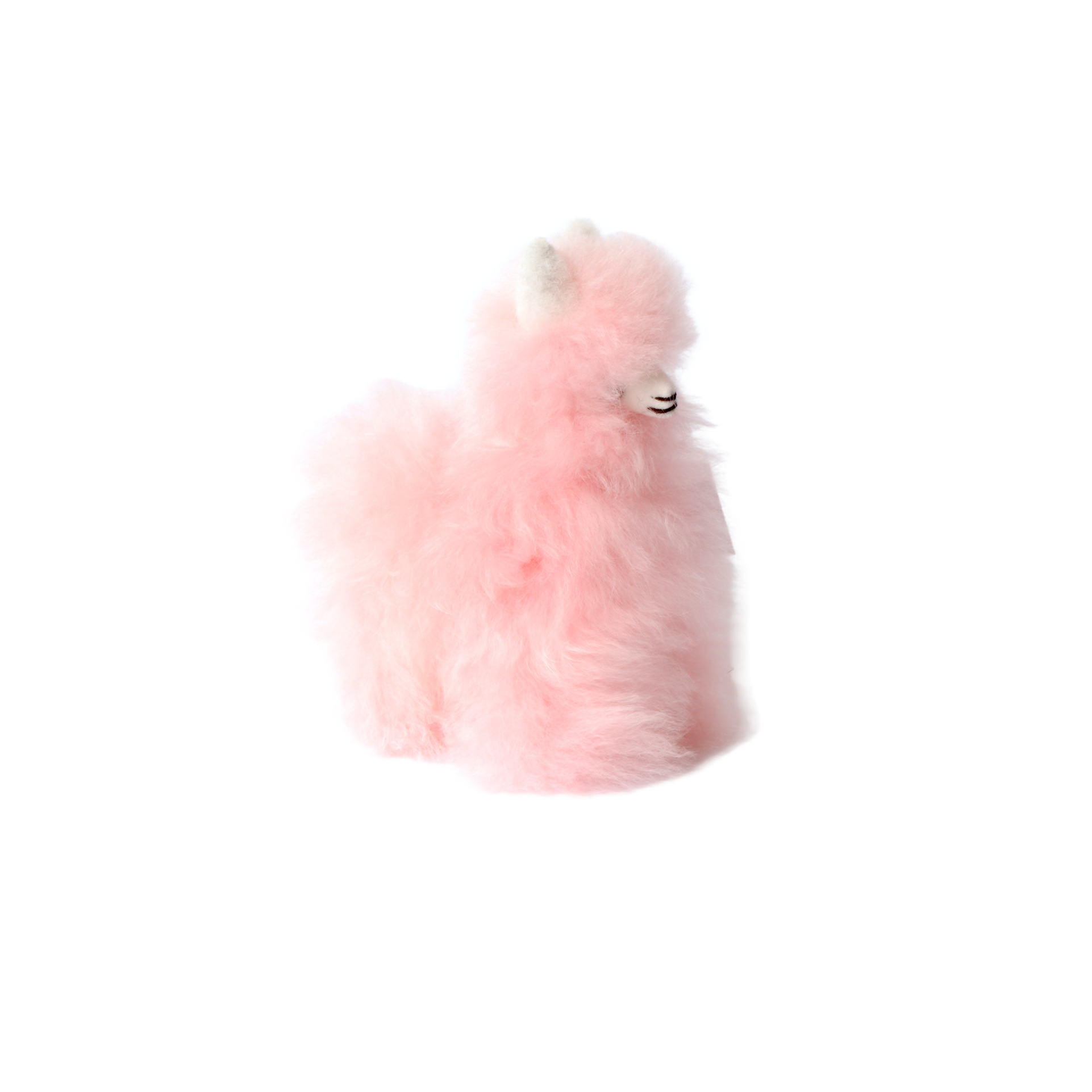 Small Llama