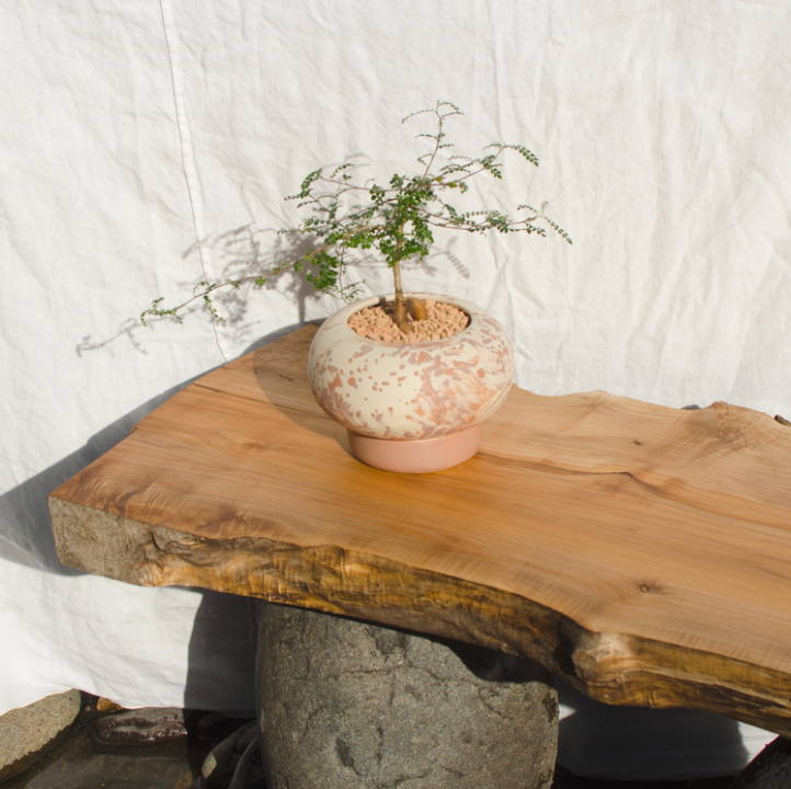 Dream Pony Ikebana Planter