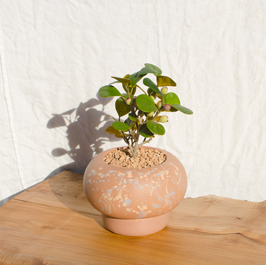 Dream Pony Ikebana Planter