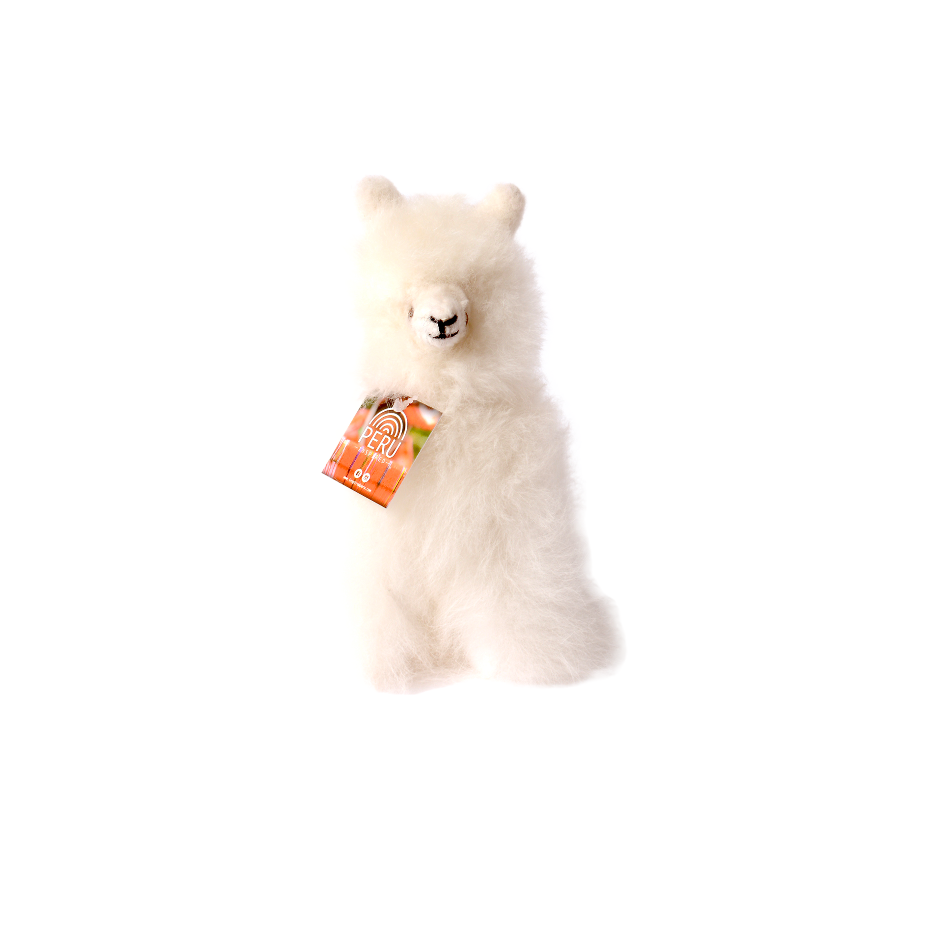 Small Llama