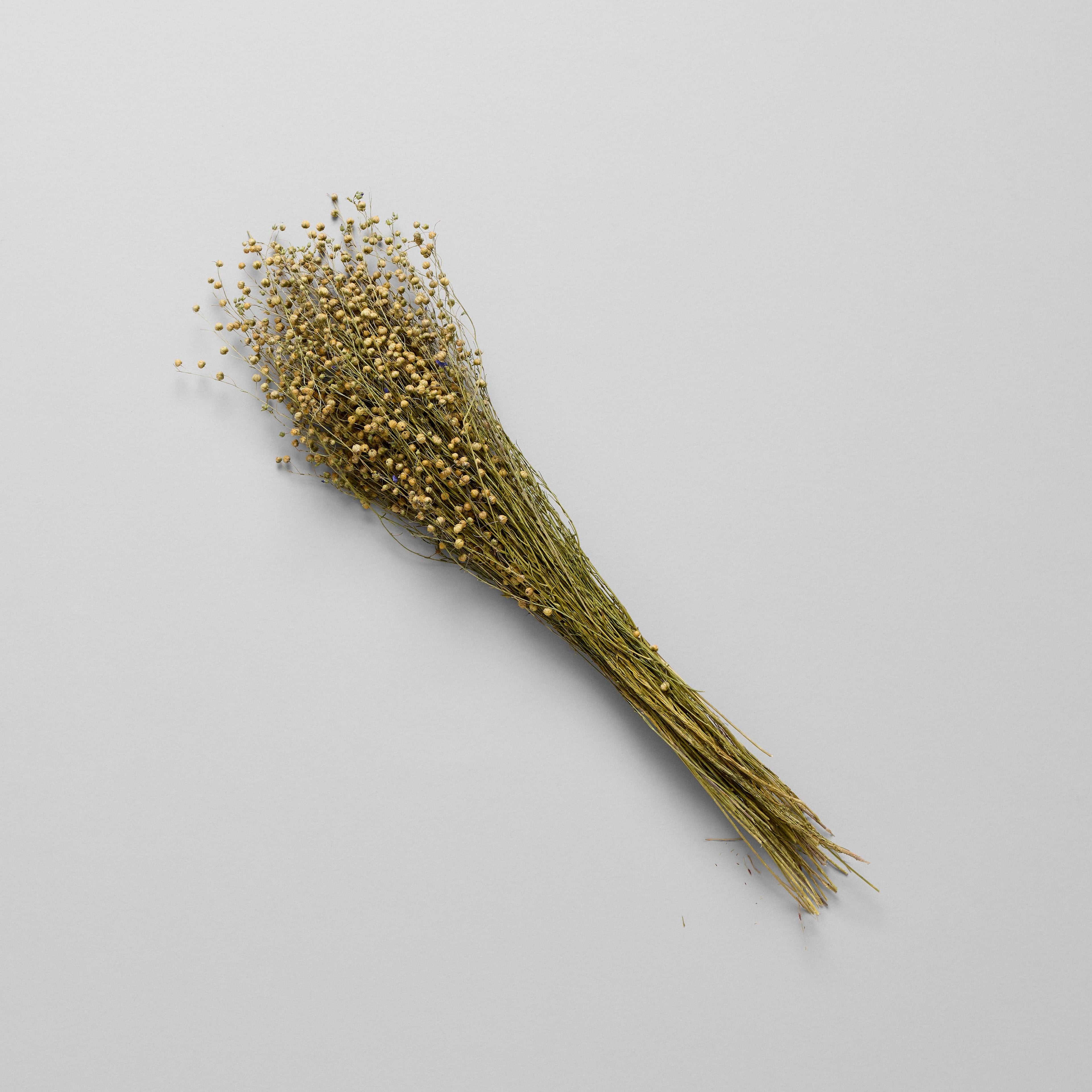 Dried Flax