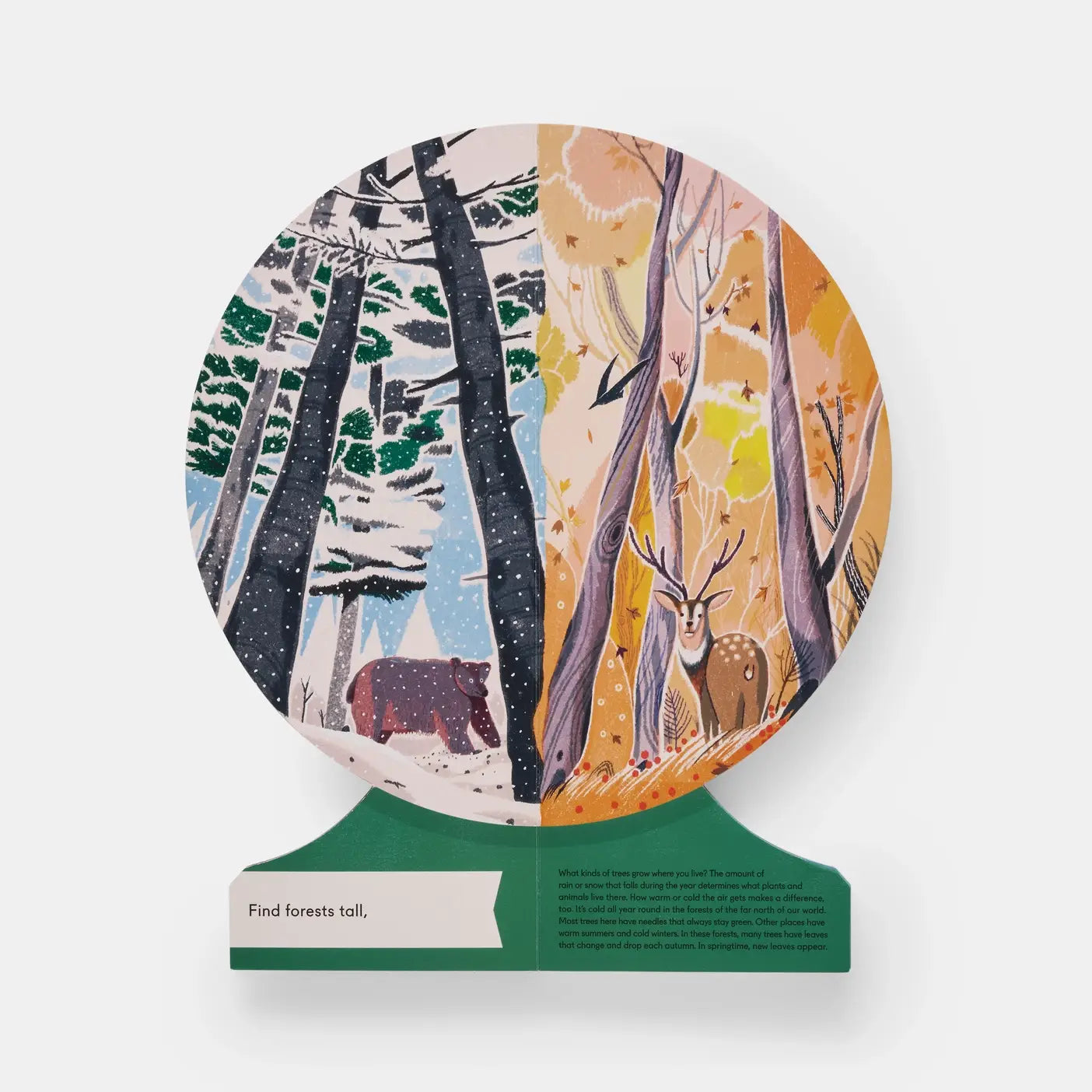 Our World: A First Book Of Geography