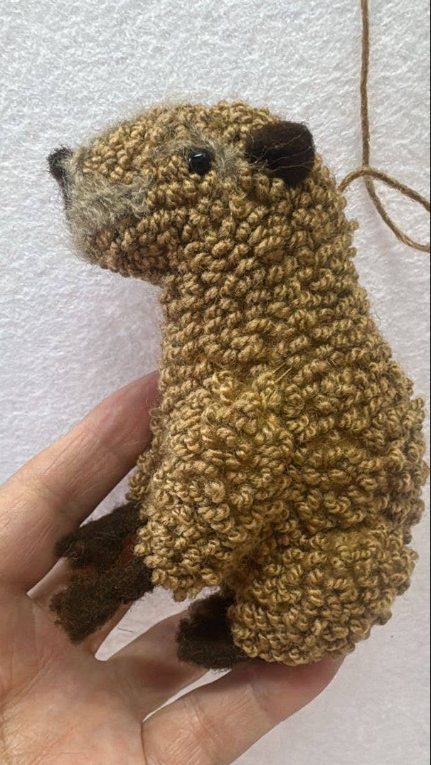 Capybara Ornament