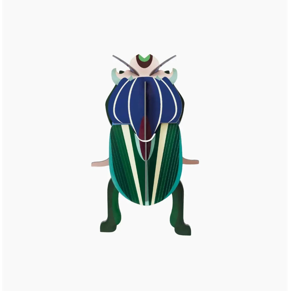 Mimela Scarab Beetle