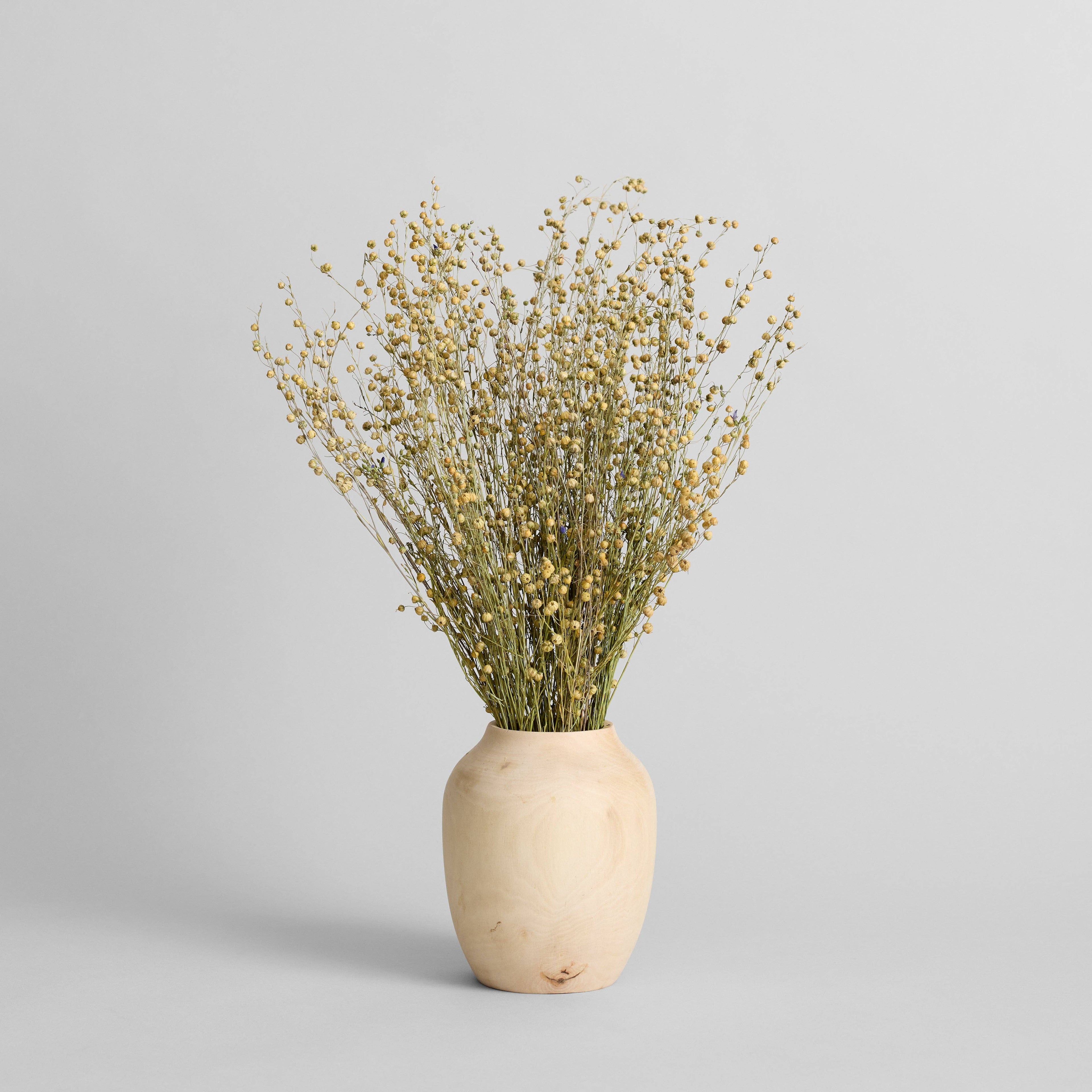 Dried Flax