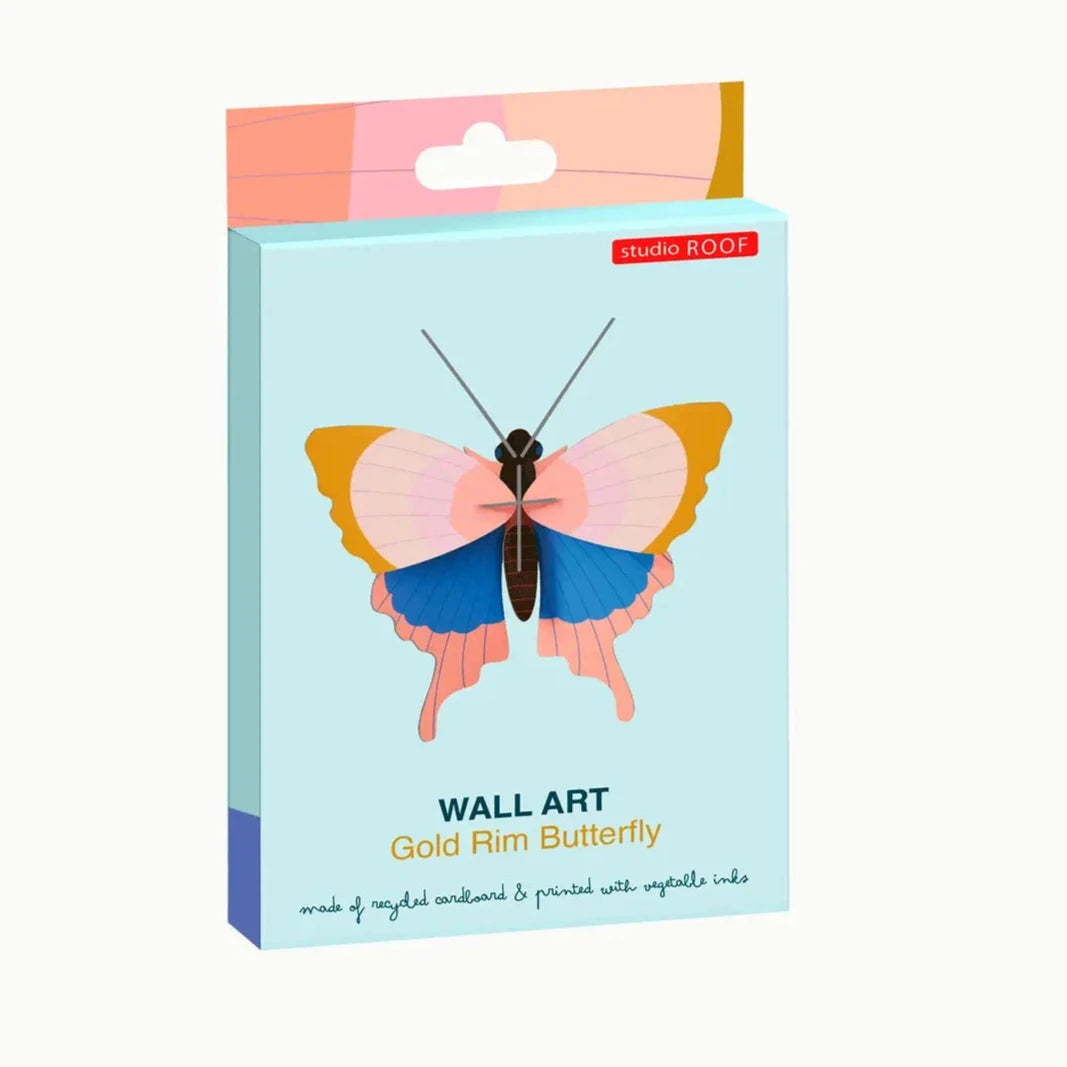 Gold Rim Butterfly