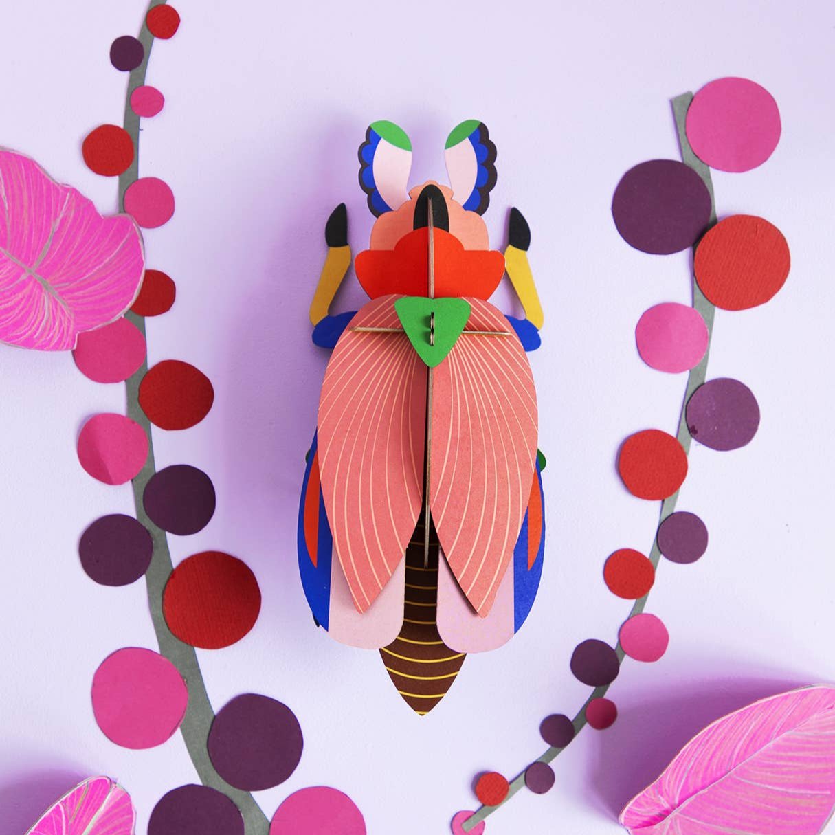 Giant Lady Beetle