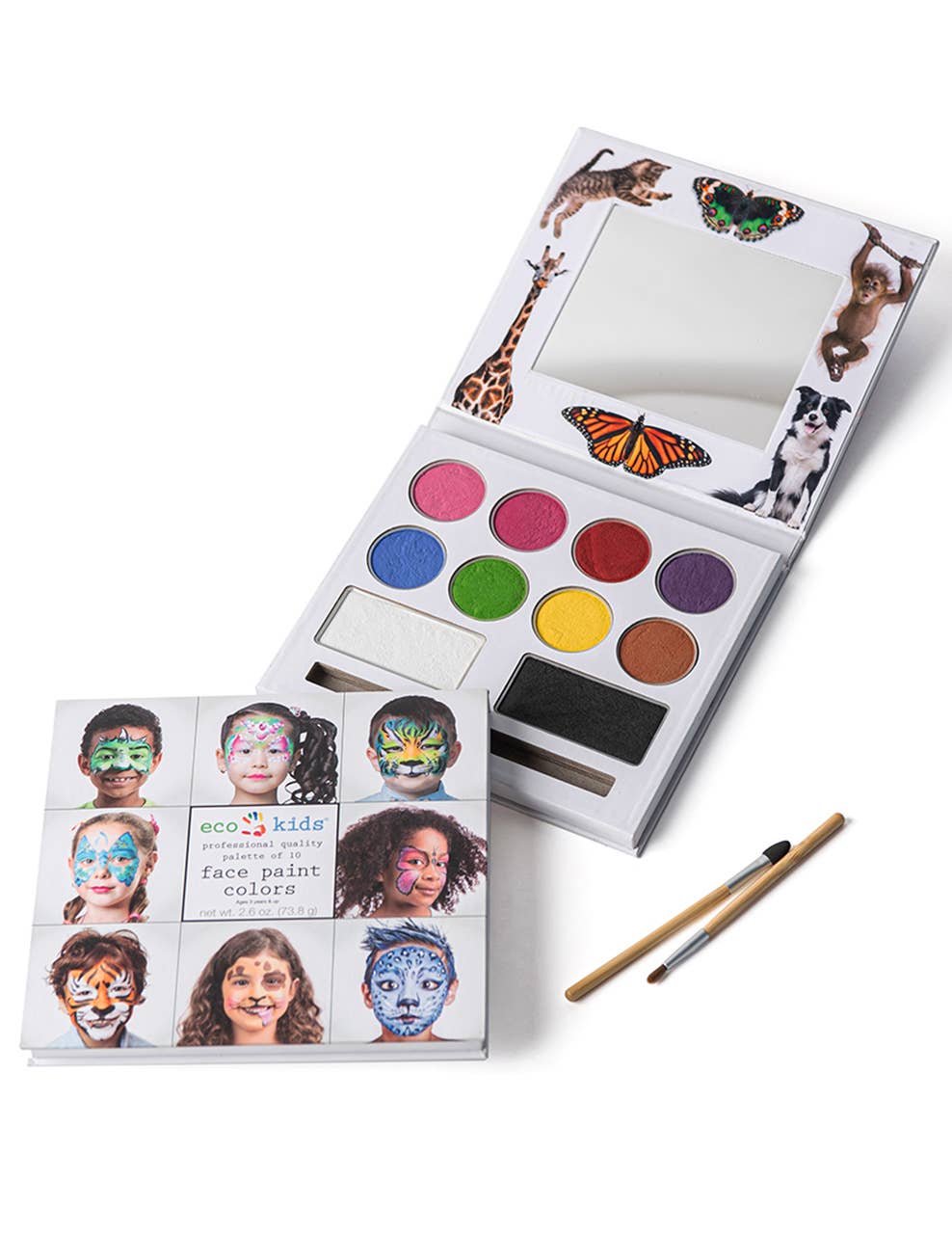 Face Paint Palette