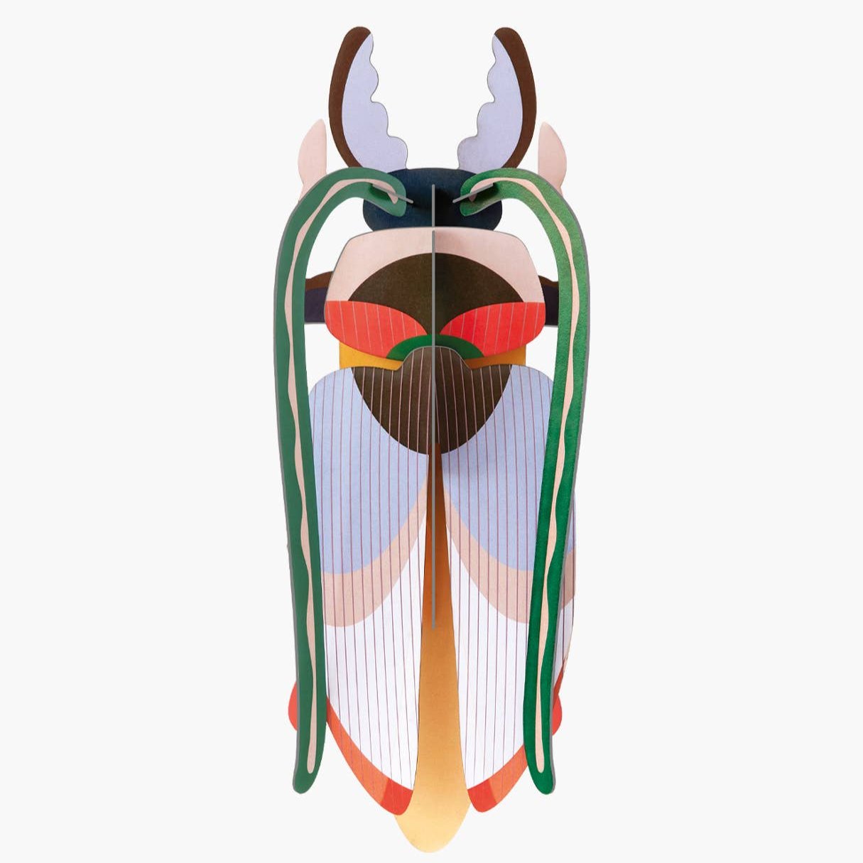 Cosmos Beetle