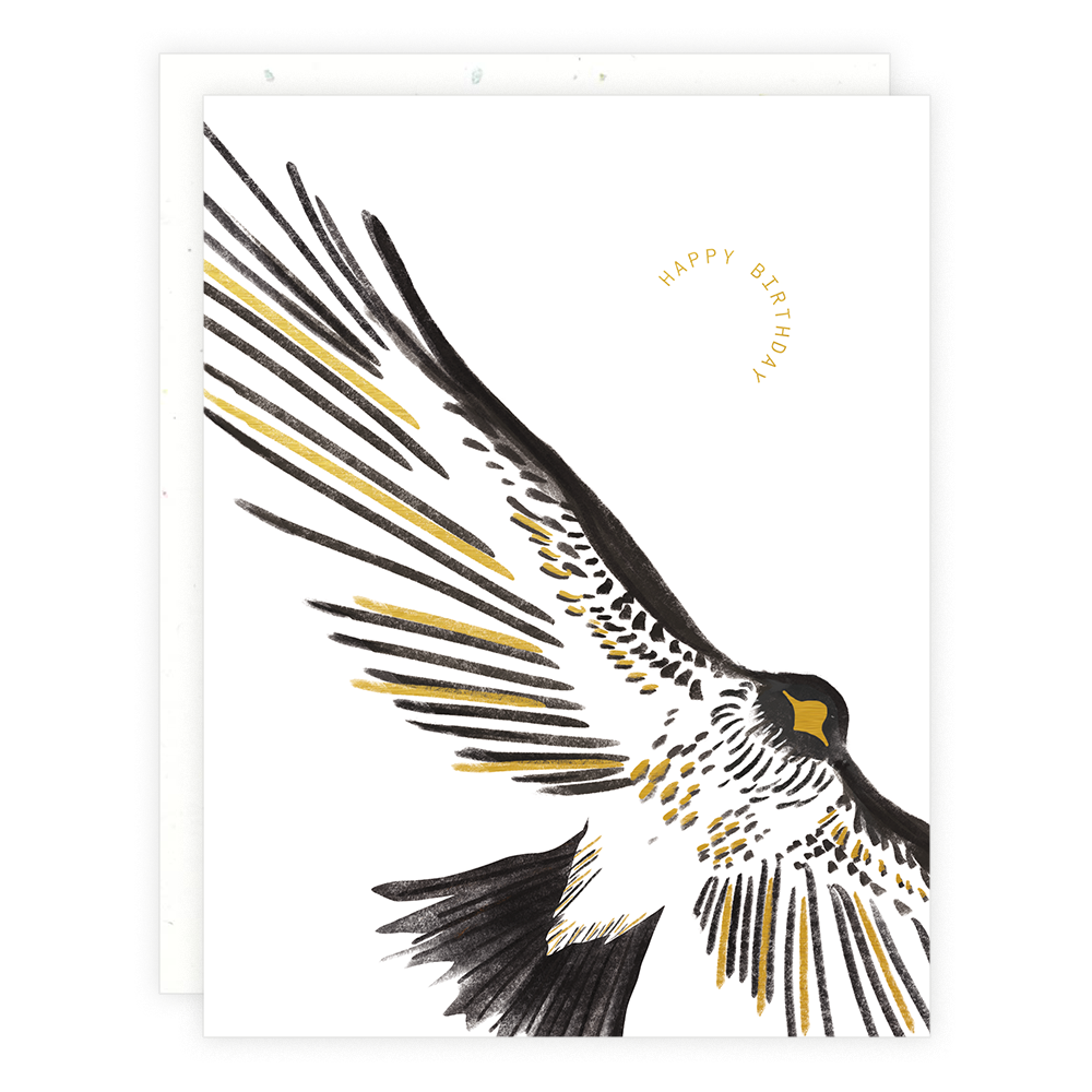 Hawk