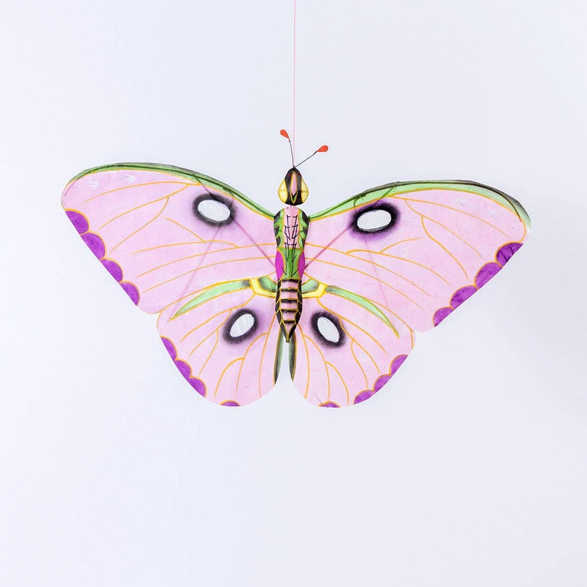 Miya Butterfly Kite