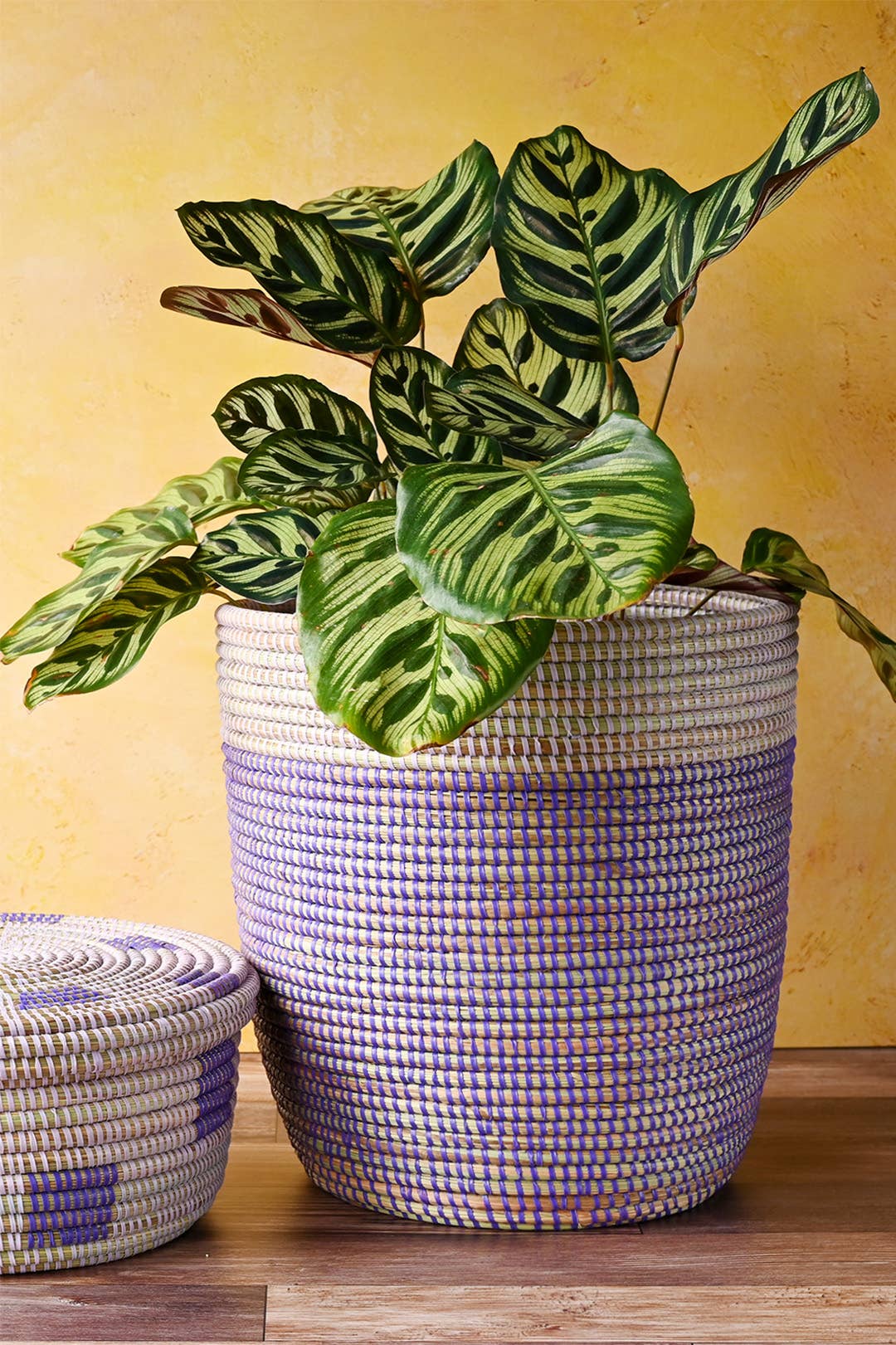 Lavender &amp; Purple Bath Bin Basket