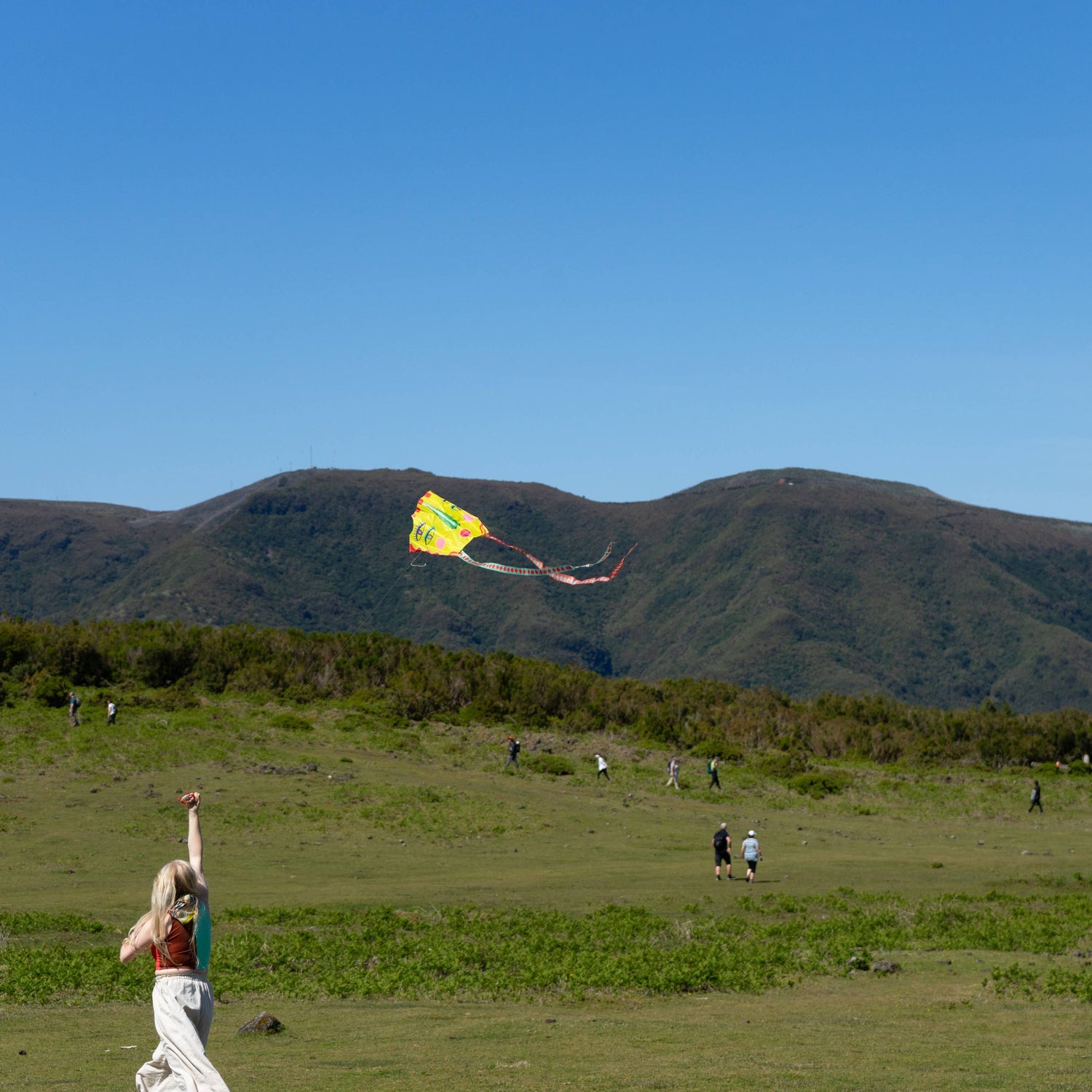 POCKET KITE / SKY SEER