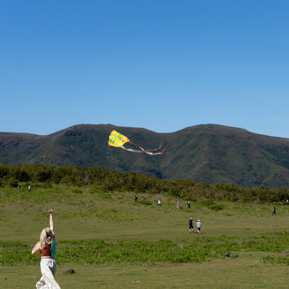 POCKET KITE / SKY SEER