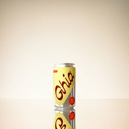 Le Spritz- Sumac &amp; Chili - Case of 4