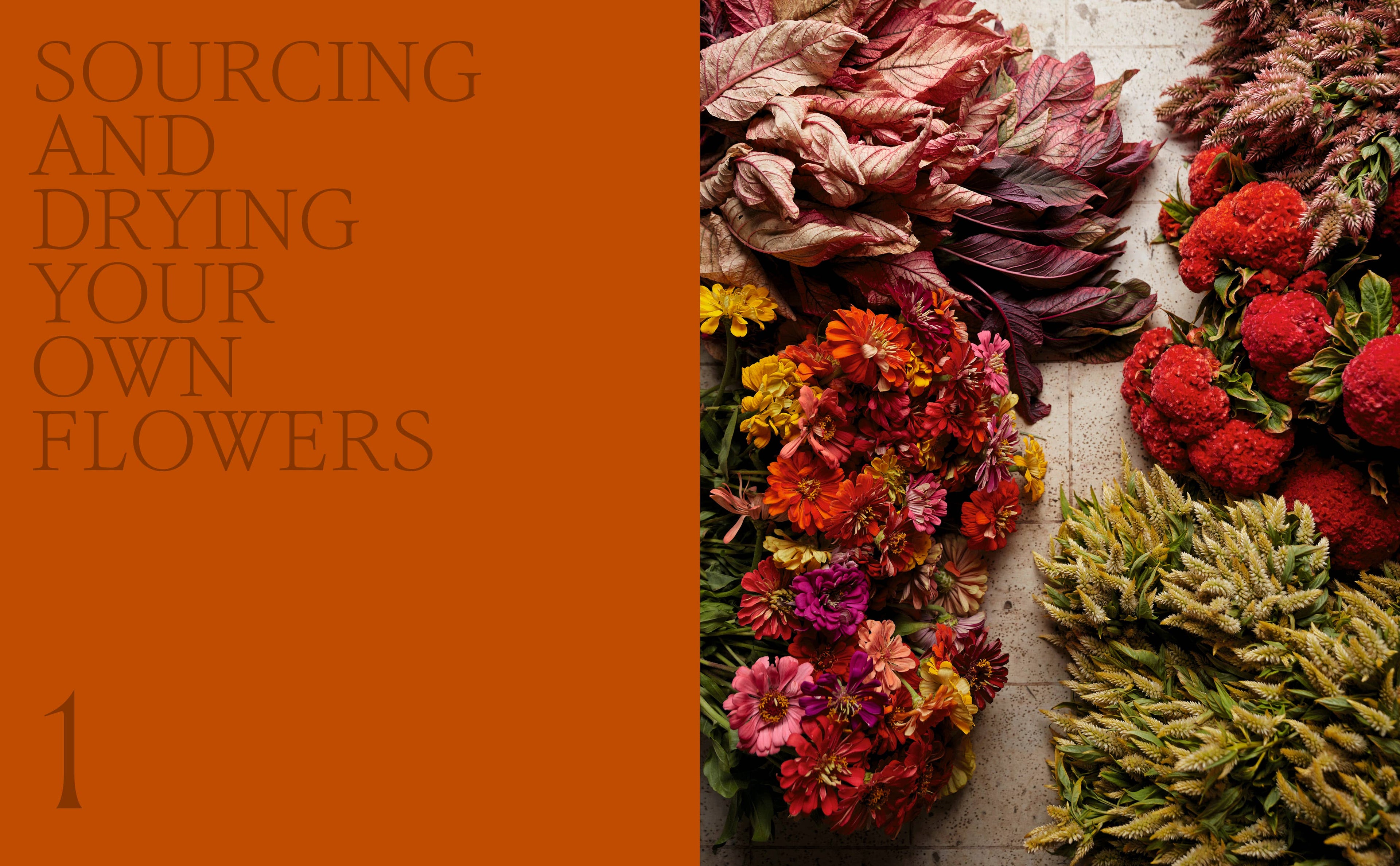 Designing with Dried Flowers