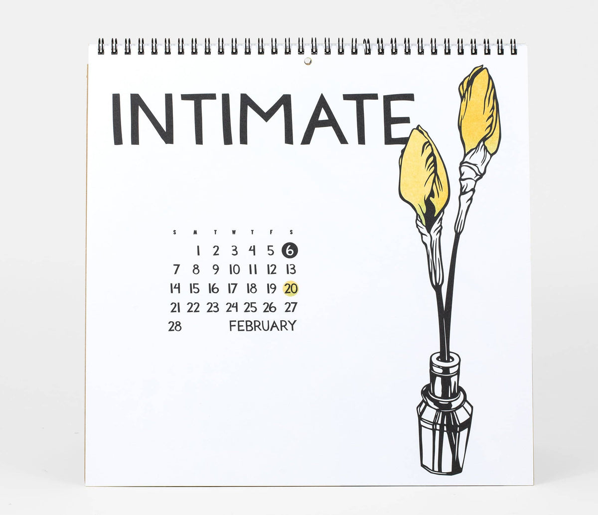 Nikki McClure Shall We Begin 2027 Wall Calendar