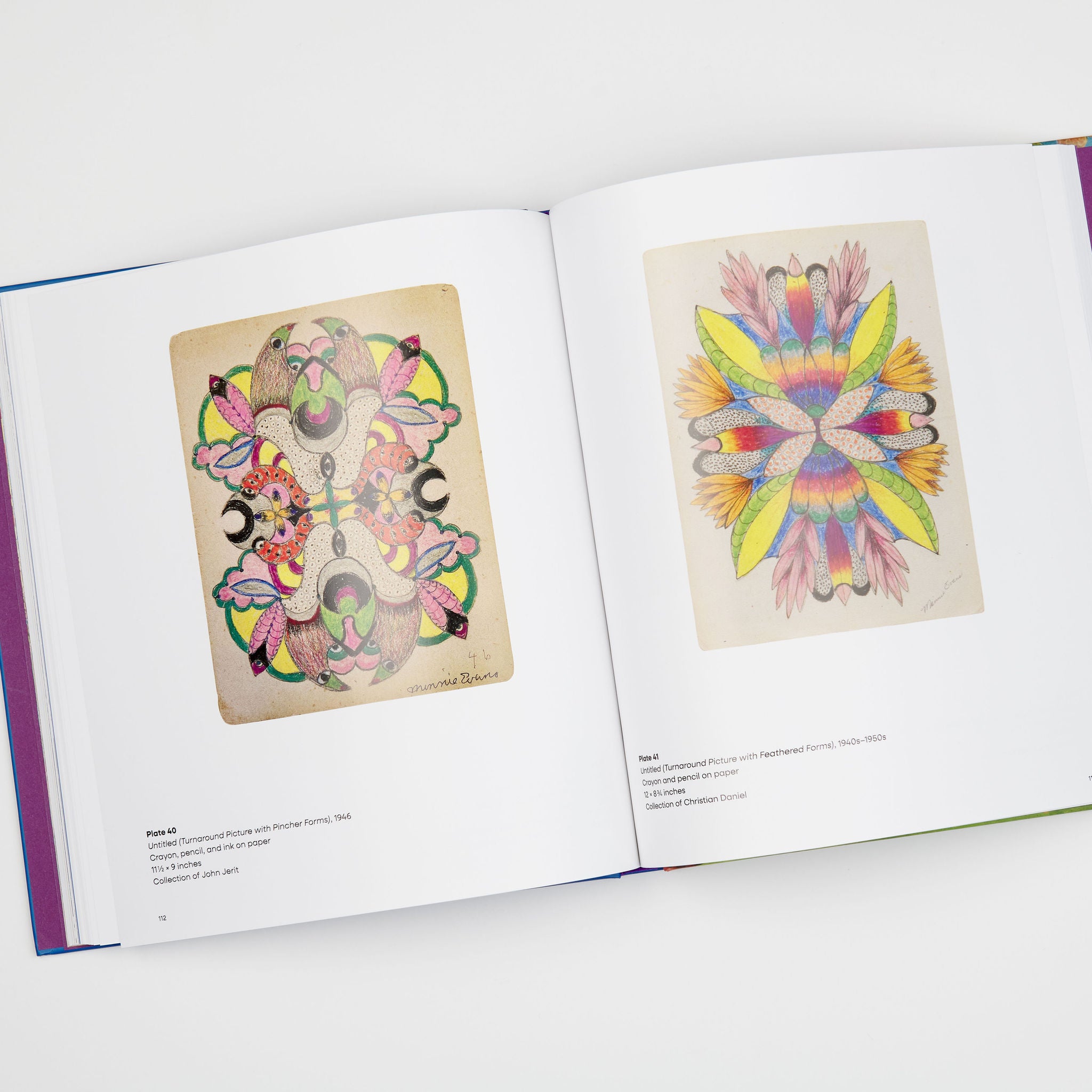 The Lost World: The Art of Minnie Evans