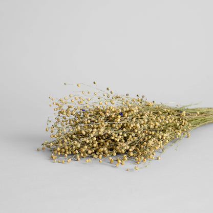 Dried Flax