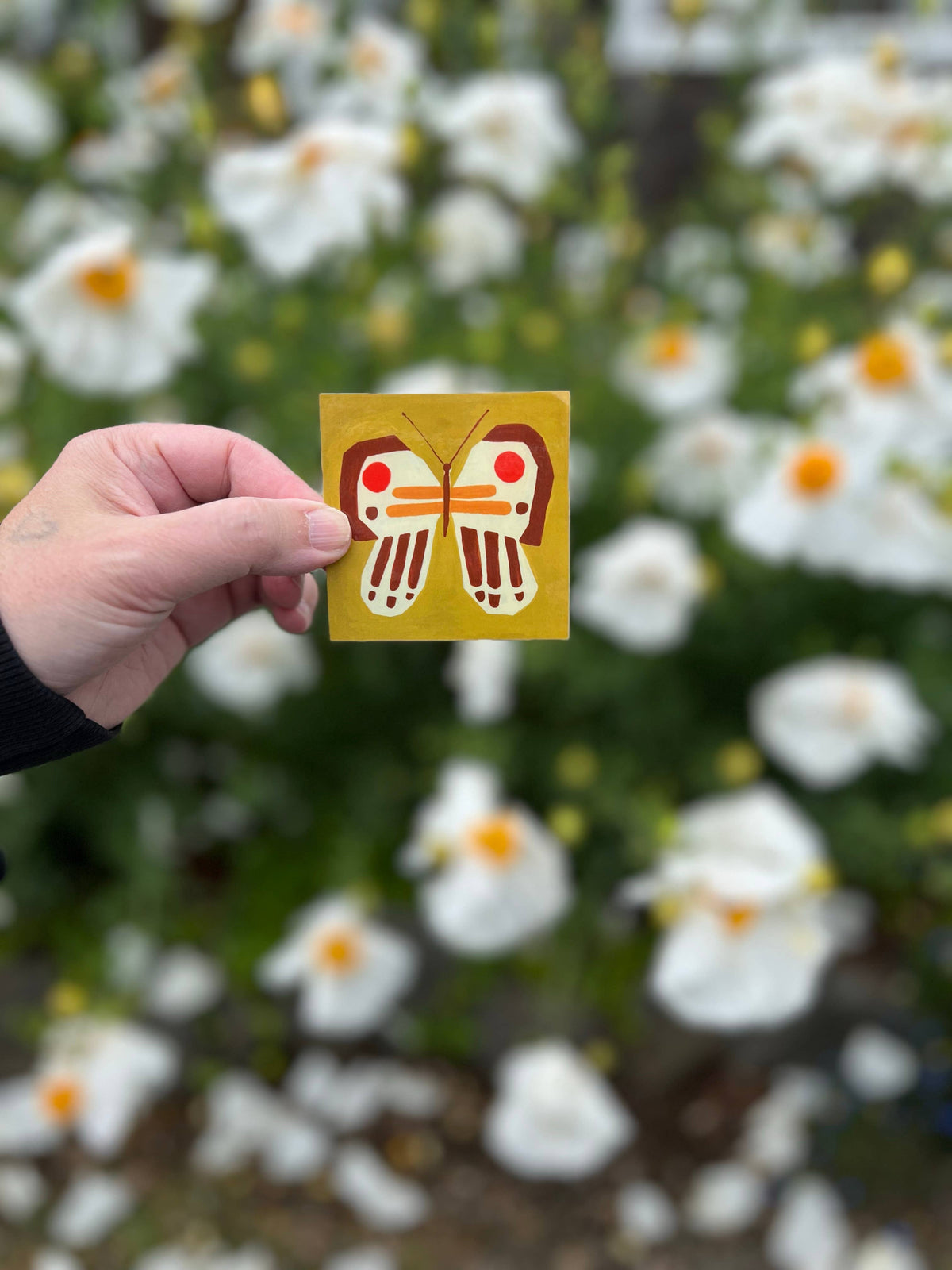 Sticker - Hand Painted Butterfly