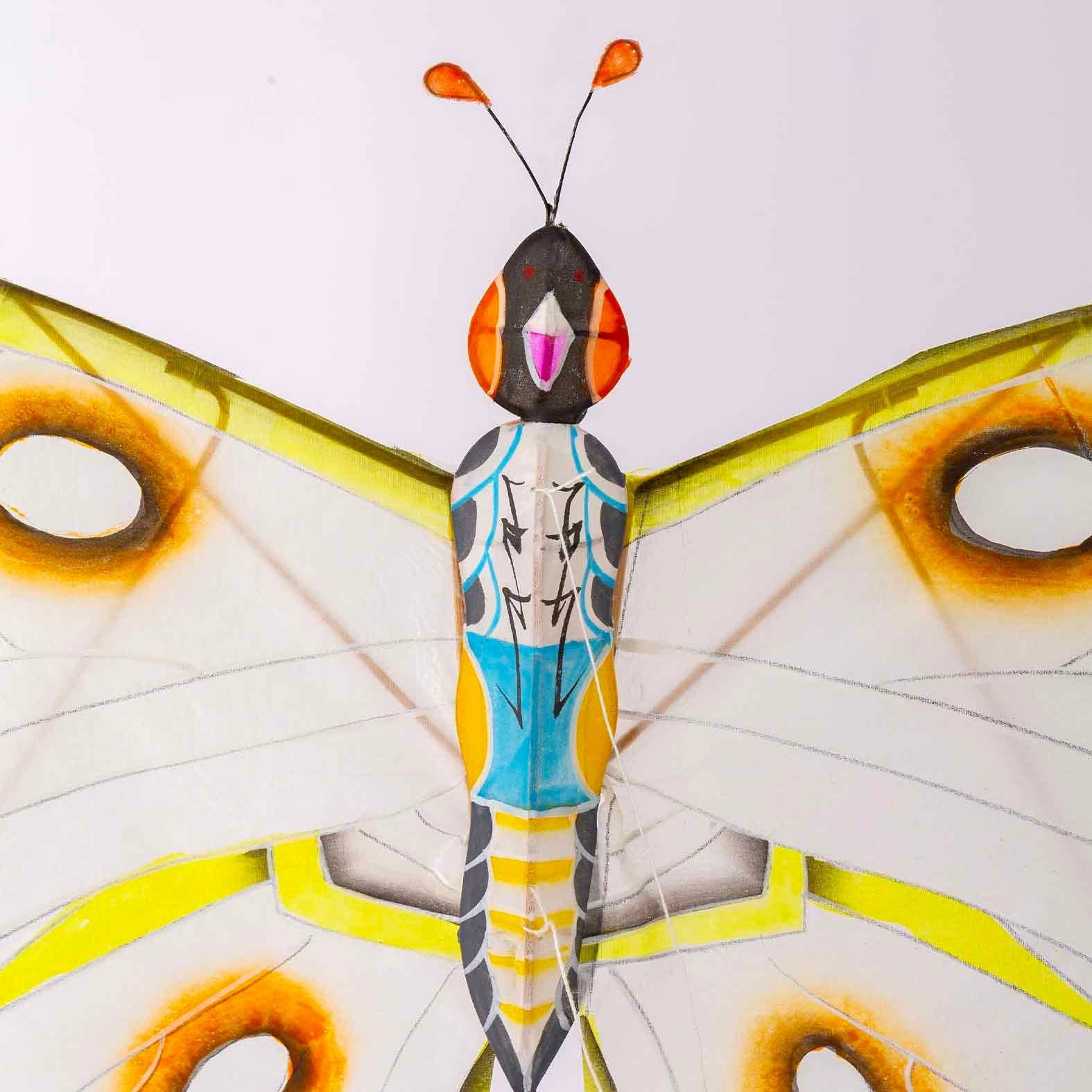Miya Butterfly Kite