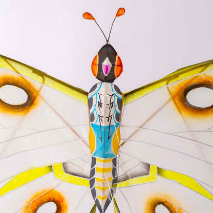 Miya Butterfly Kite