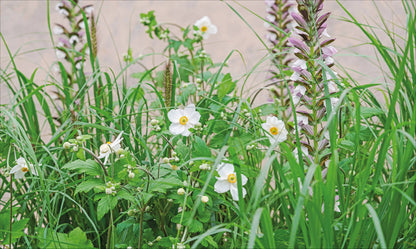 What Grows Together