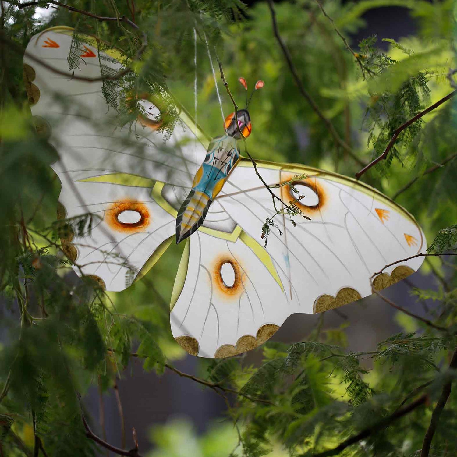Miya Butterfly Kite