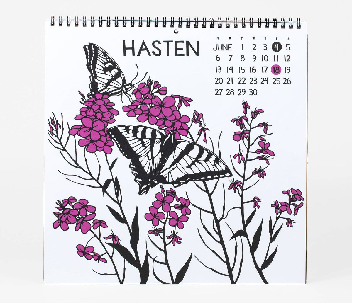 Nikki McClure Shall We Begin 2027 Wall Calendar