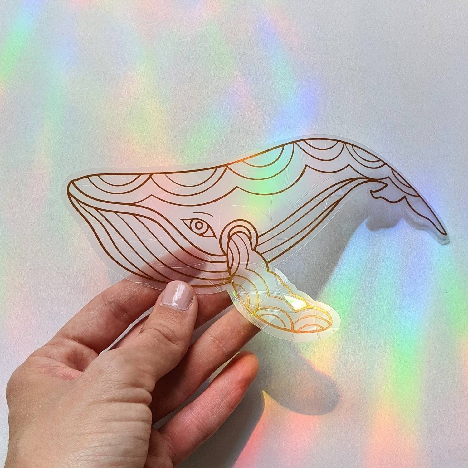 Whale Suncatcher // Rainbow Making Sticker