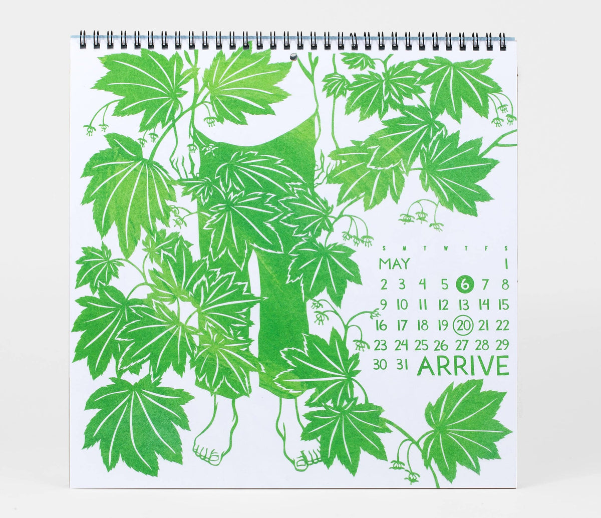 Nikki McClure Shall We Begin 2027 Wall Calendar