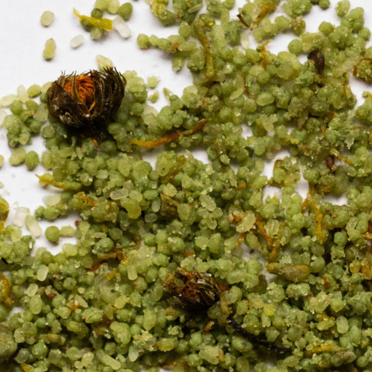 Calendula &amp; Clay Bath Soak