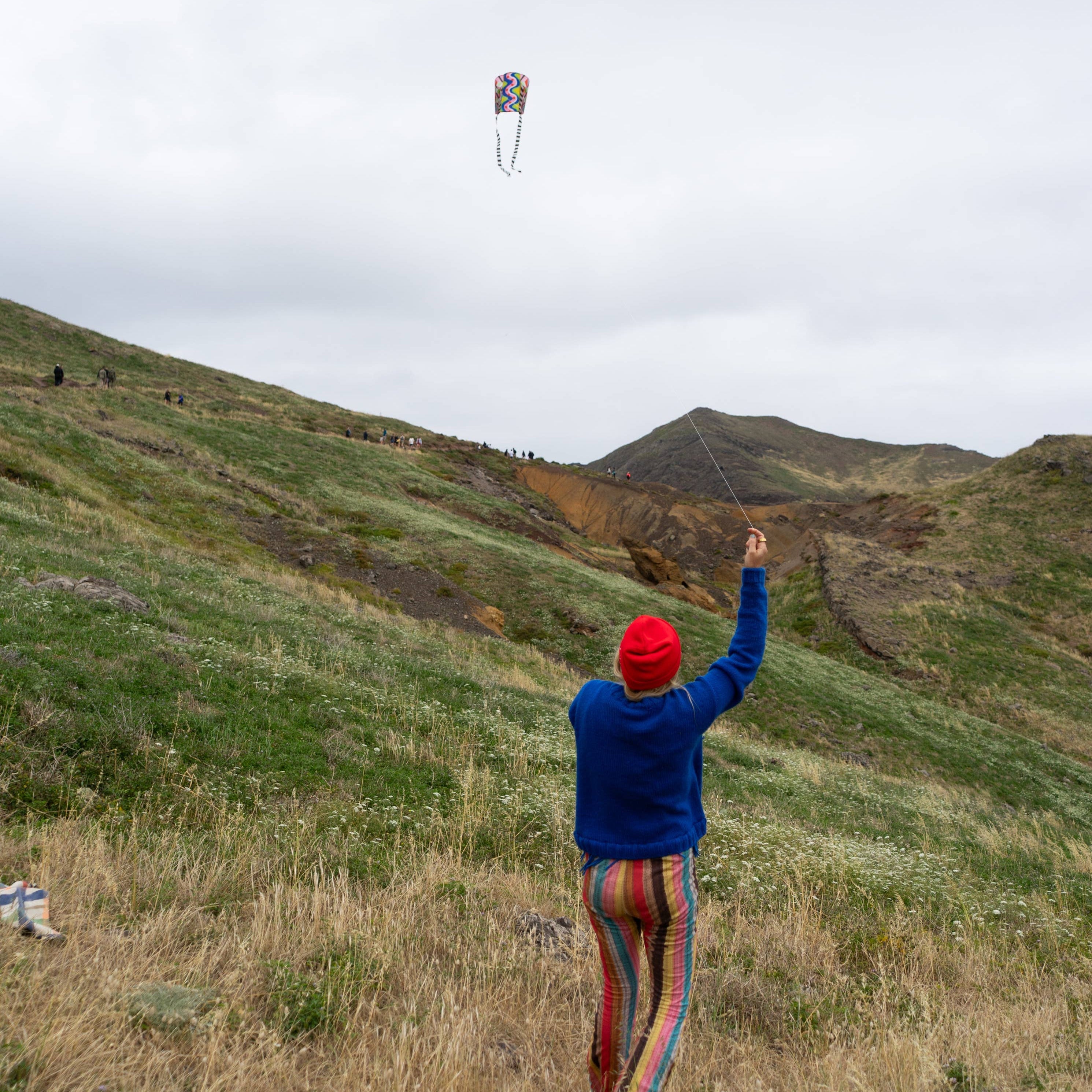 POCKET KITE / SPEEDY