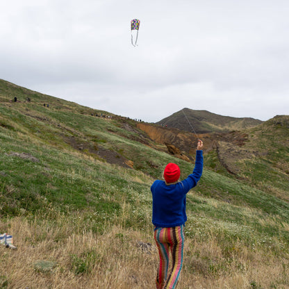 POCKET KITE / SPEEDY