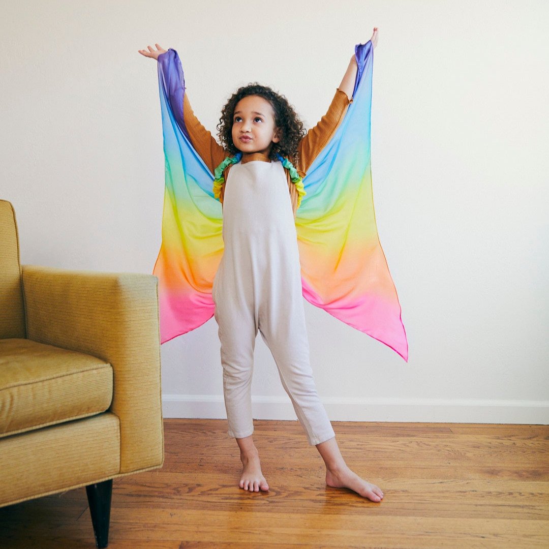 Rainbow Wings