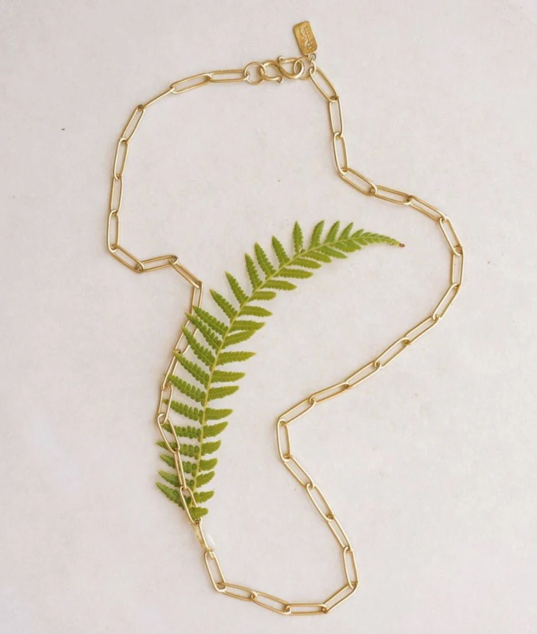 Petite Bambu Link Chain Necklace