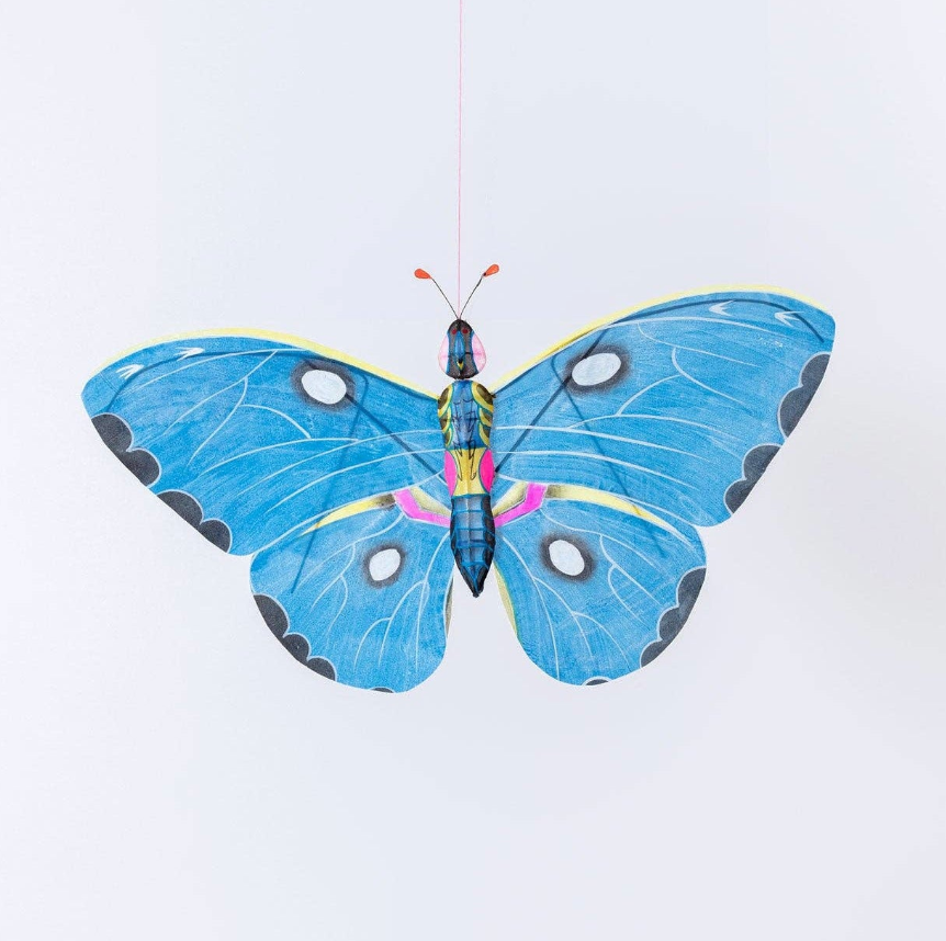 Miya Butterfly Kite