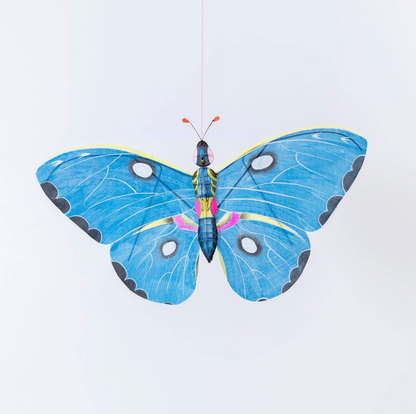 Miya Butterfly Kite