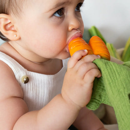 Cathy the Carrot Teether